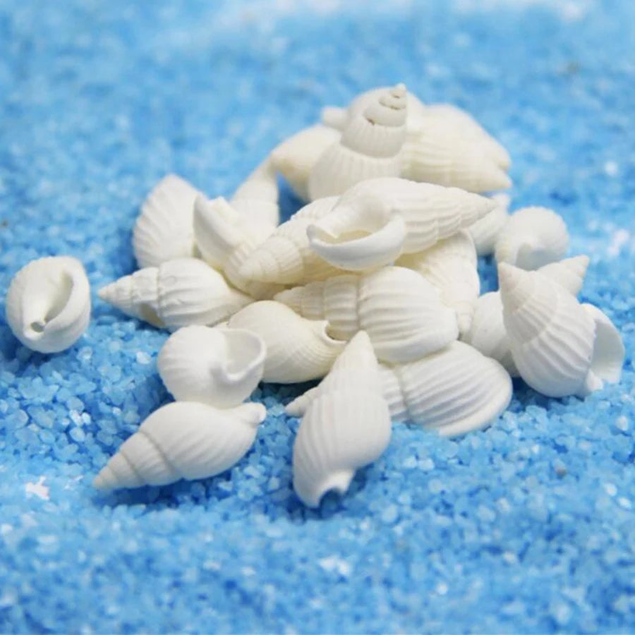40piece 1-2cm Cute Starfish Natural Sea Shell Beads Mixed Jewelry Making Glass Vial Pendants Glass Globe Filler DIY Material