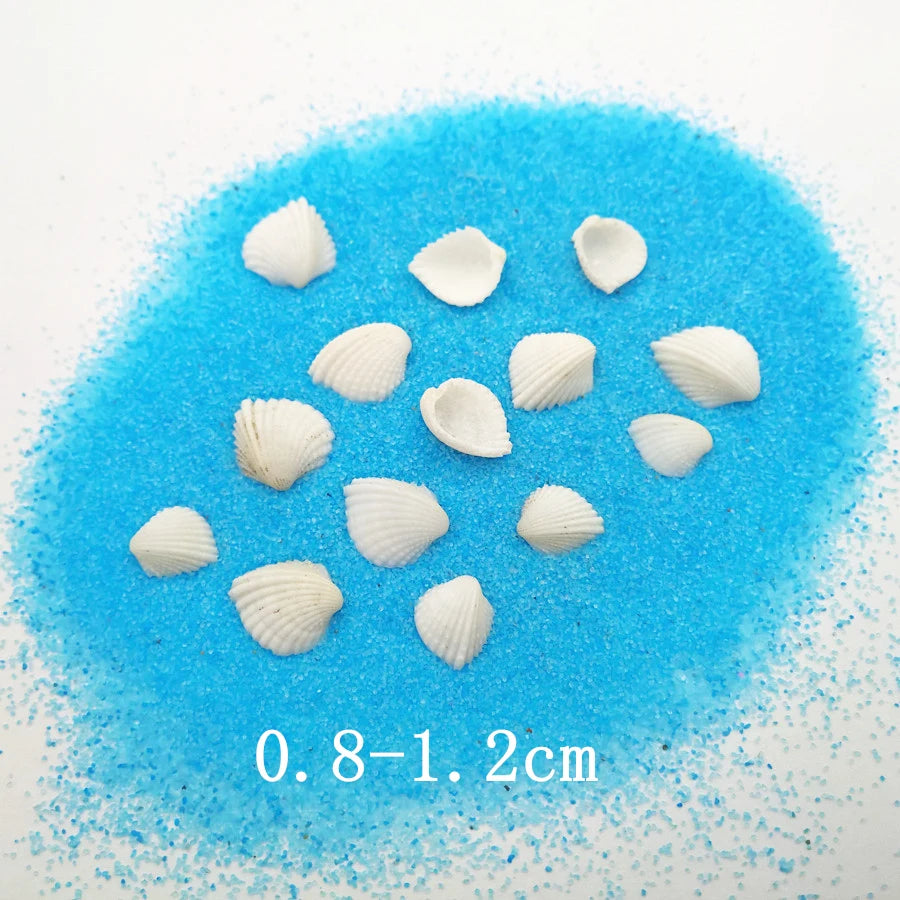 40piece 1-2cm Cute Starfish Natural Sea Shell Beads Mixed Jewelry Making Glass Vial Pendants Glass Globe Filler DIY Material