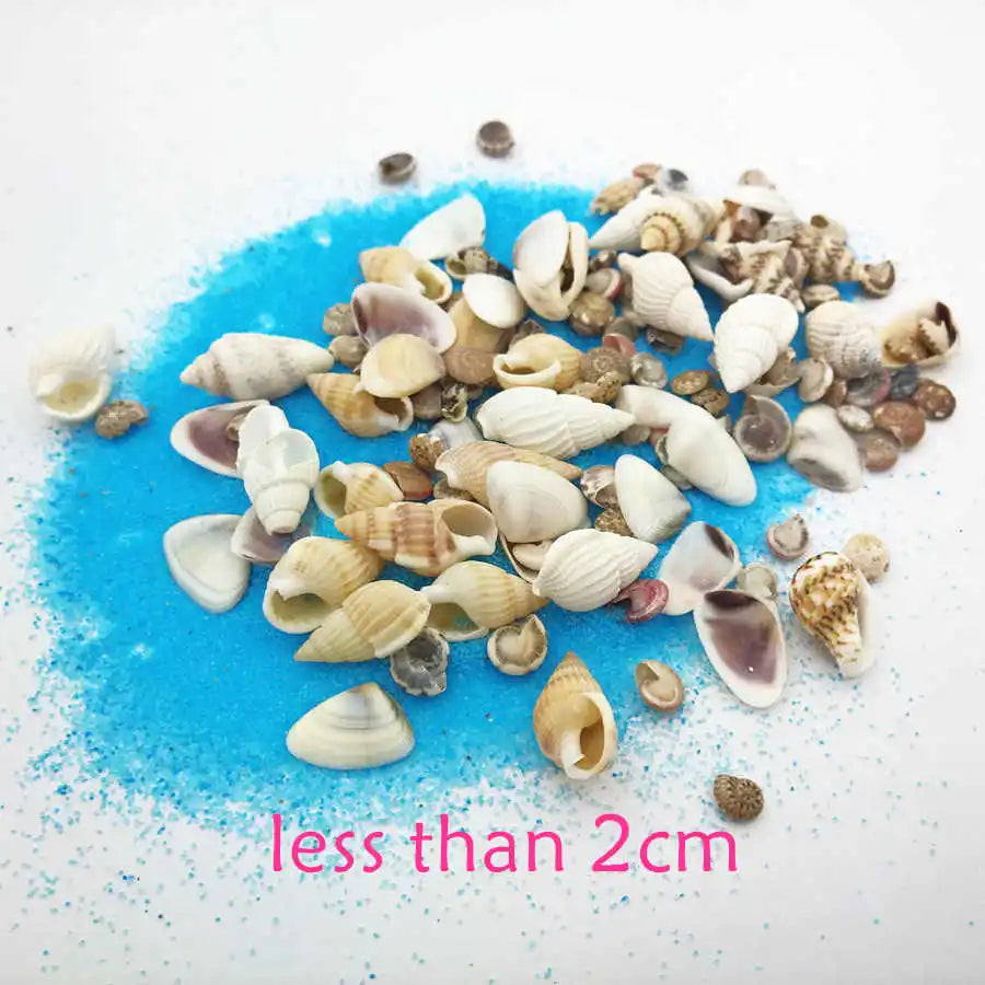 40piece 1-2cm Cute Starfish Natural Sea Shell Beads Mixed Jewelry Making Glass Vial Pendants Glass Globe Filler DIY Material