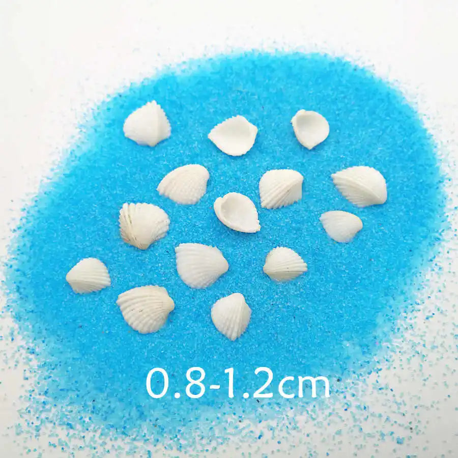 40piece 1-2cm Cute Starfish Natural Sea Shell Beads Mixed Jewelry Making Glass Vial Pendants Glass Globe Filler DIY Material