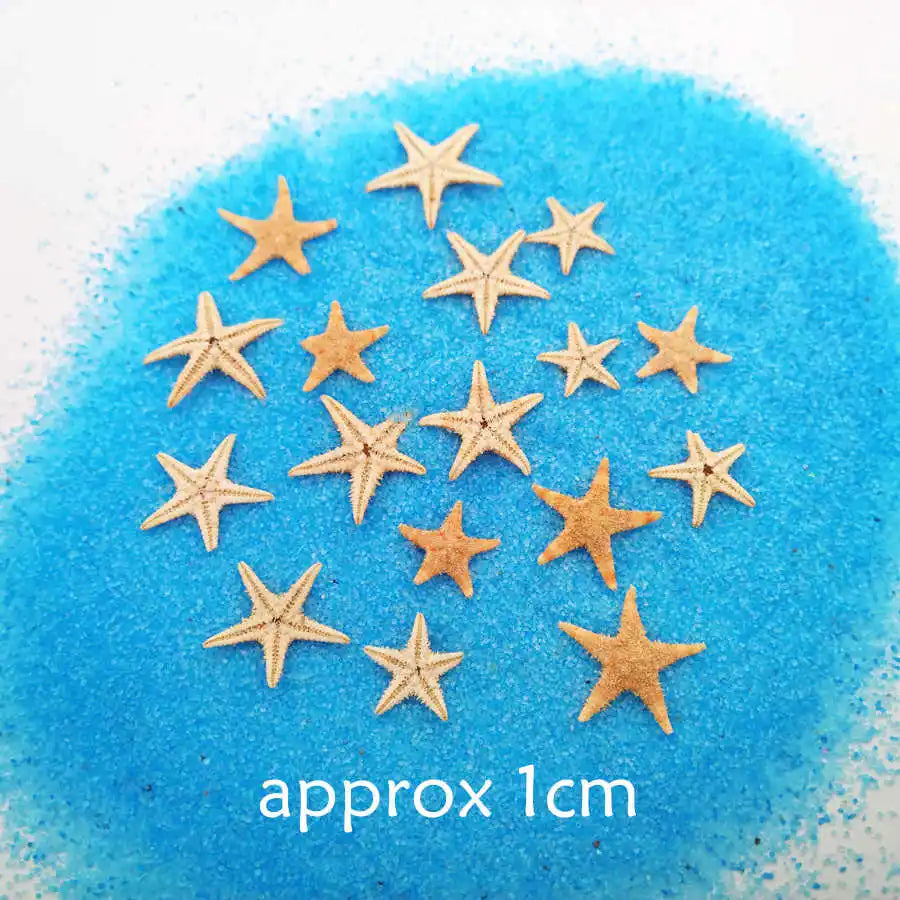 40piece 1-2cm Cute Starfish Natural Sea Shell Beads Mixed Jewelry Making Glass Vial Pendants Glass Globe Filler DIY Material