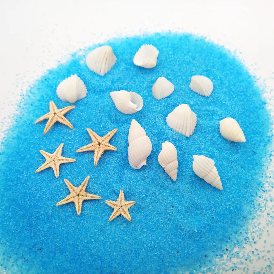 40piece 1-2cm Cute Starfish Natural Sea Shell Beads Mixed Jewelry Making Glass Vial Pendants Glass Globe Filler DIY Material