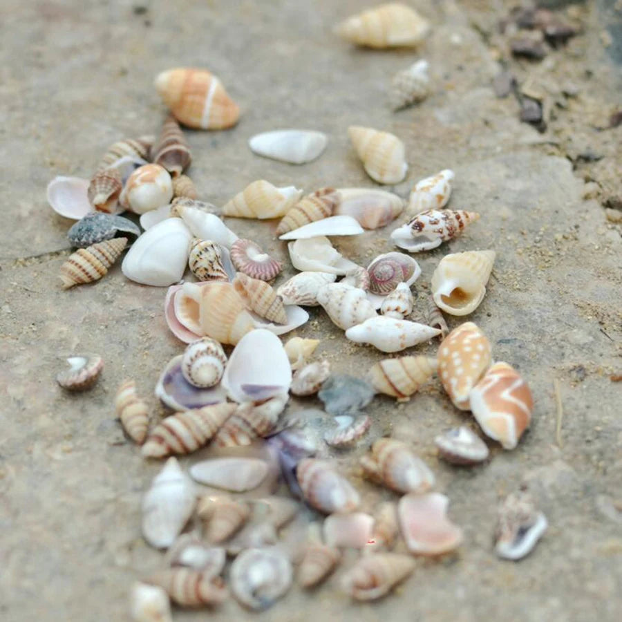 40piece 1-2cm Cute Starfish Natural Sea Shell Beads Mixed Jewelry Making Glass Vial Pendants Glass Globe Filler DIY Material