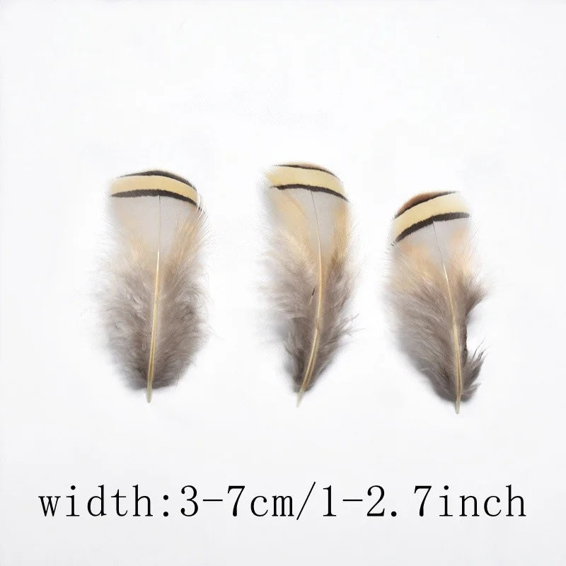 wholesale Natural ostrich Pheasant feathers for crafts DIY peacock feathers for jewelry making Home party decoration plumas
