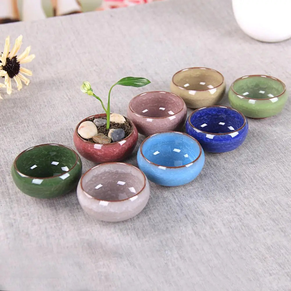 Ice-Crack Glaze Ceramic Flower Pot For Juicy Plant Small Bonsai Potted Mini Simple Succulent Planter Flowerpot Home Garden Decor