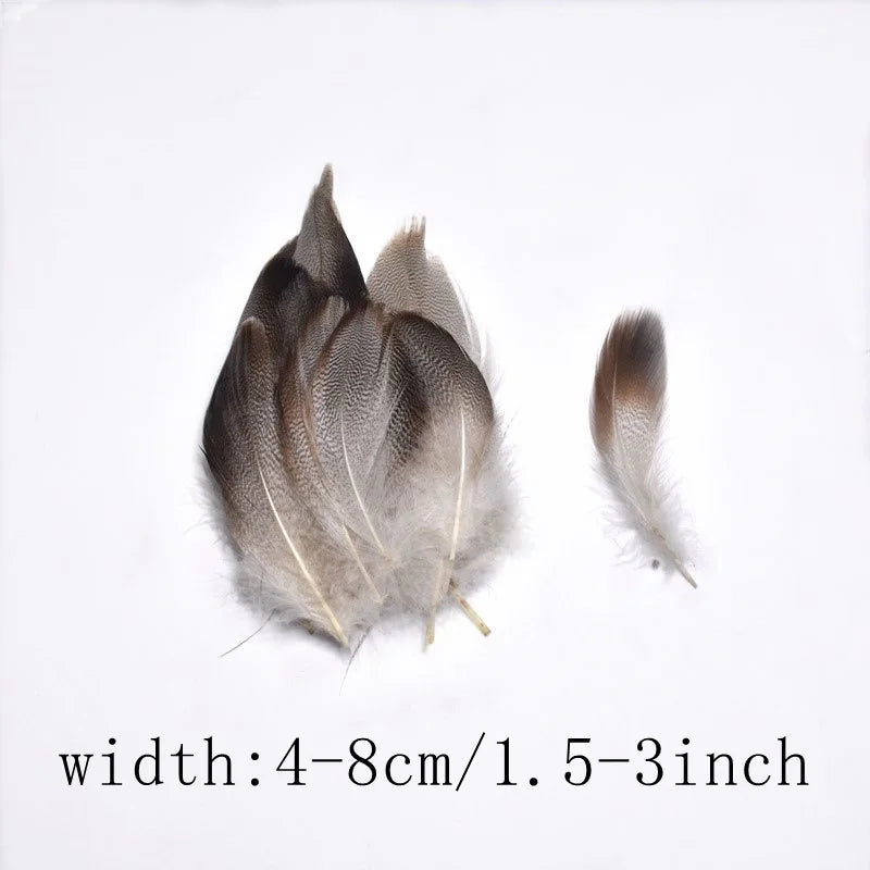 wholesale Natural ostrich Pheasant feathers for crafts DIY peacock feathers for jewelry making Home party decoration plumas
