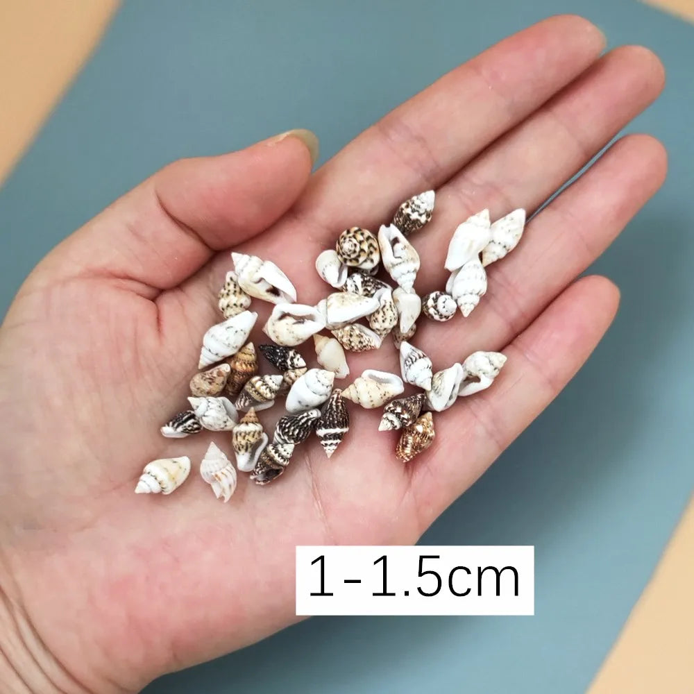40piece 1-2cm Cute Starfish Natural Sea Shell Beads Mixed Jewelry Making Glass Vial Pendants Glass Globe Filler DIY Material