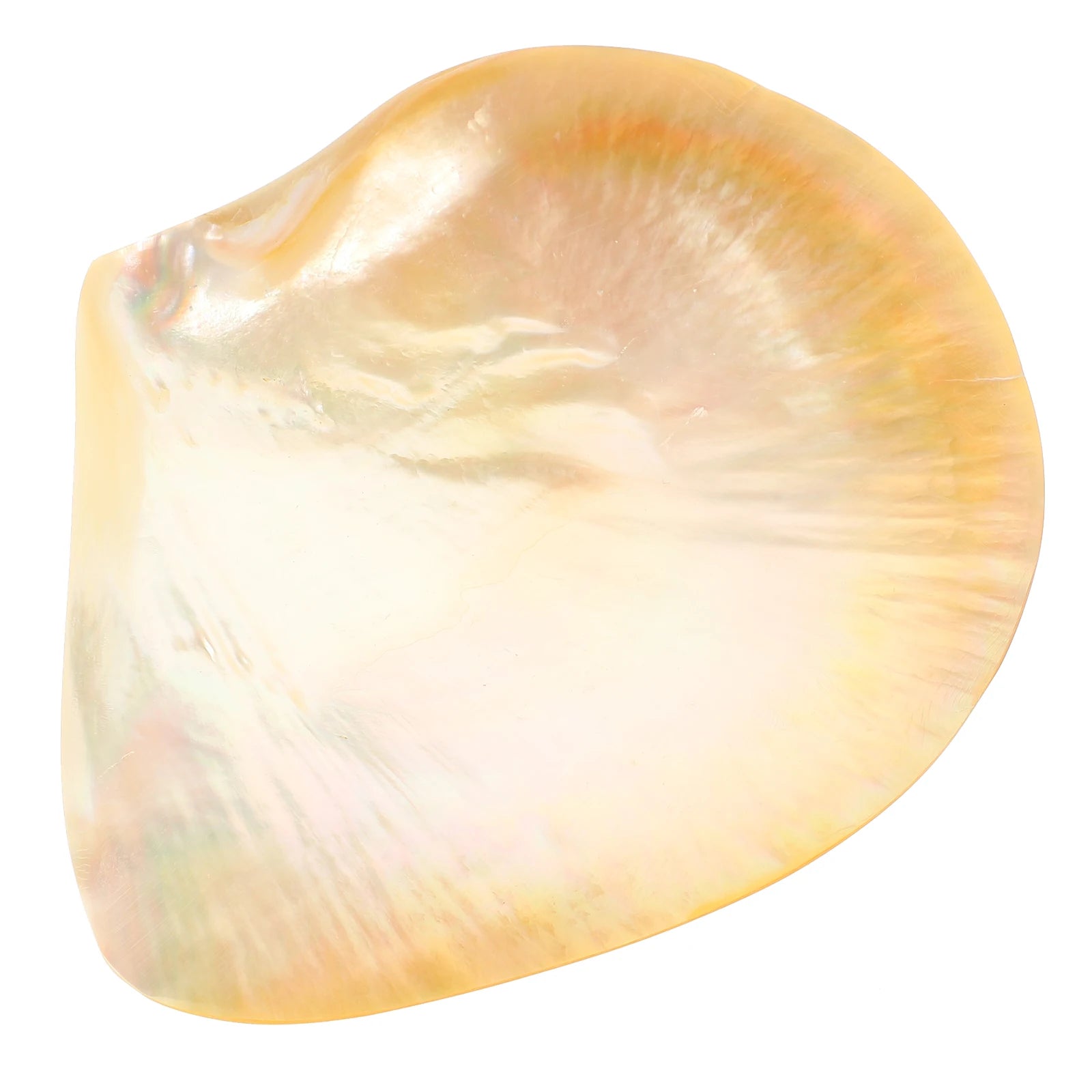 Shell Decorative Tray Dish Serving Trays Round Food Plate Dessert Cake Plates for Dinner Mother