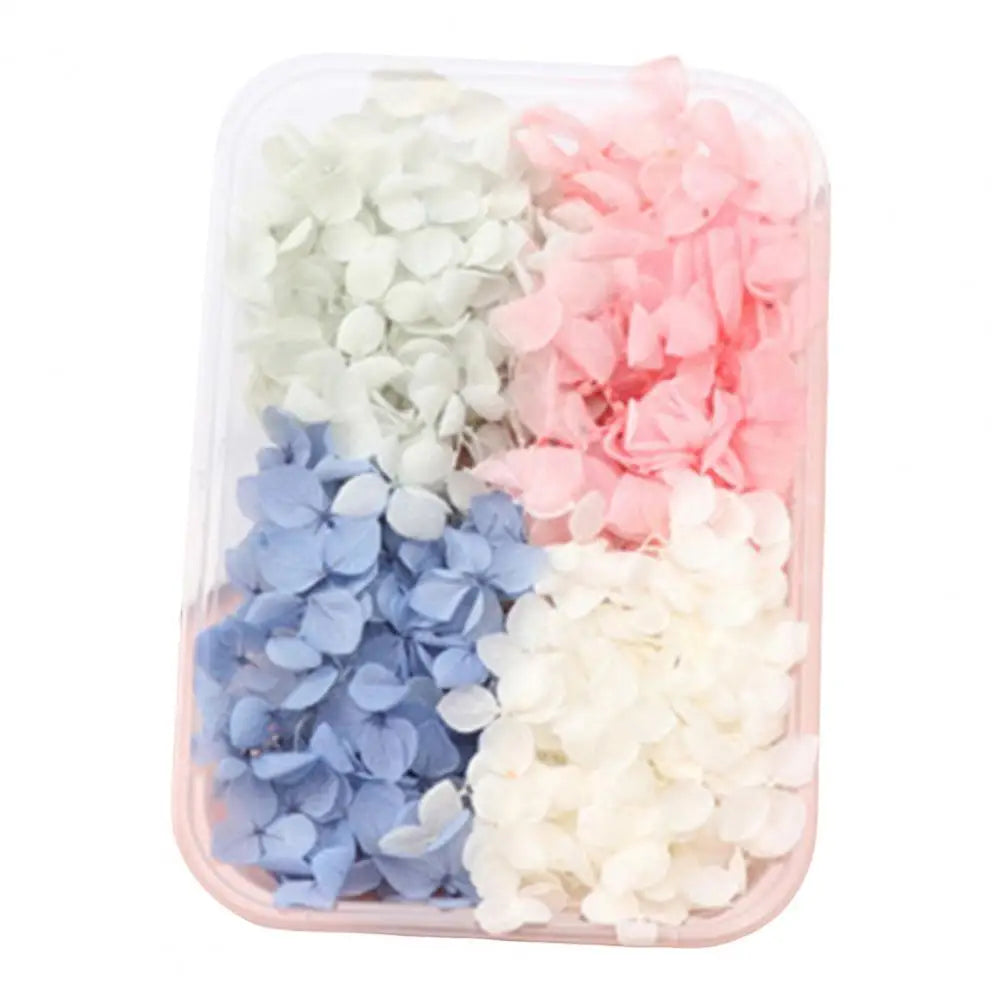 Dried Flowers Kit Real Natural Bulk DIY Handmade Everlasting Compressed Dried Flower Colorful Embossing Flowers Jewelry Supplies