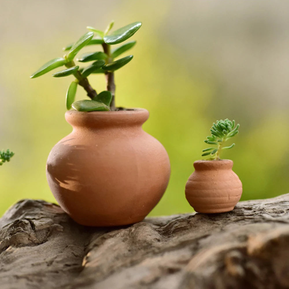Mini Terracotta Pot Clay Ceramic Pottery Planter Flower Pots Succulent Nursery Pots For Flower Plants Crafts Miniature Flowerpot