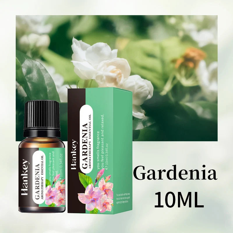 Fragrance Essential Oils Candles Burner Air Fresheners 10ML Natural Plant Aromatherapy Essential Oil for Humidifier Diffuser