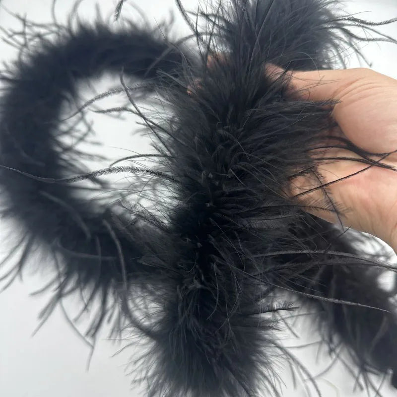 1 Ply Ostrich Feathers Boa 2Meters Shawl for Party Lady Dress Decoration Scarf Clothing DIY