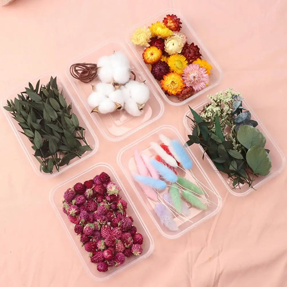 Dried Flowers Kit Real Natural Bulk DIY Handmade Everlasting Compressed Dried Flower Colorful Embossing Flowers Jewelry Supplies