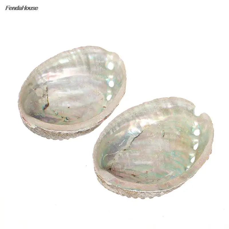 10-14Cm Natural Abalone Shell Large Sea Shells Nautical Decor Soap Landscape Fish Diy Aquarium Wedding Dish Tank Home Decor
