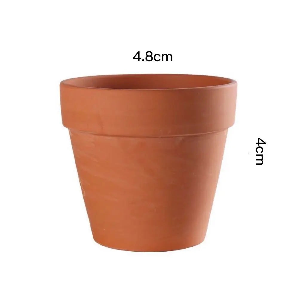 36Pcs Terra Cotta  2'' Clay Pottery Planter Cactus Flower Pots Succulent Pot with Drainage Hole- Great for Plants,Crafts