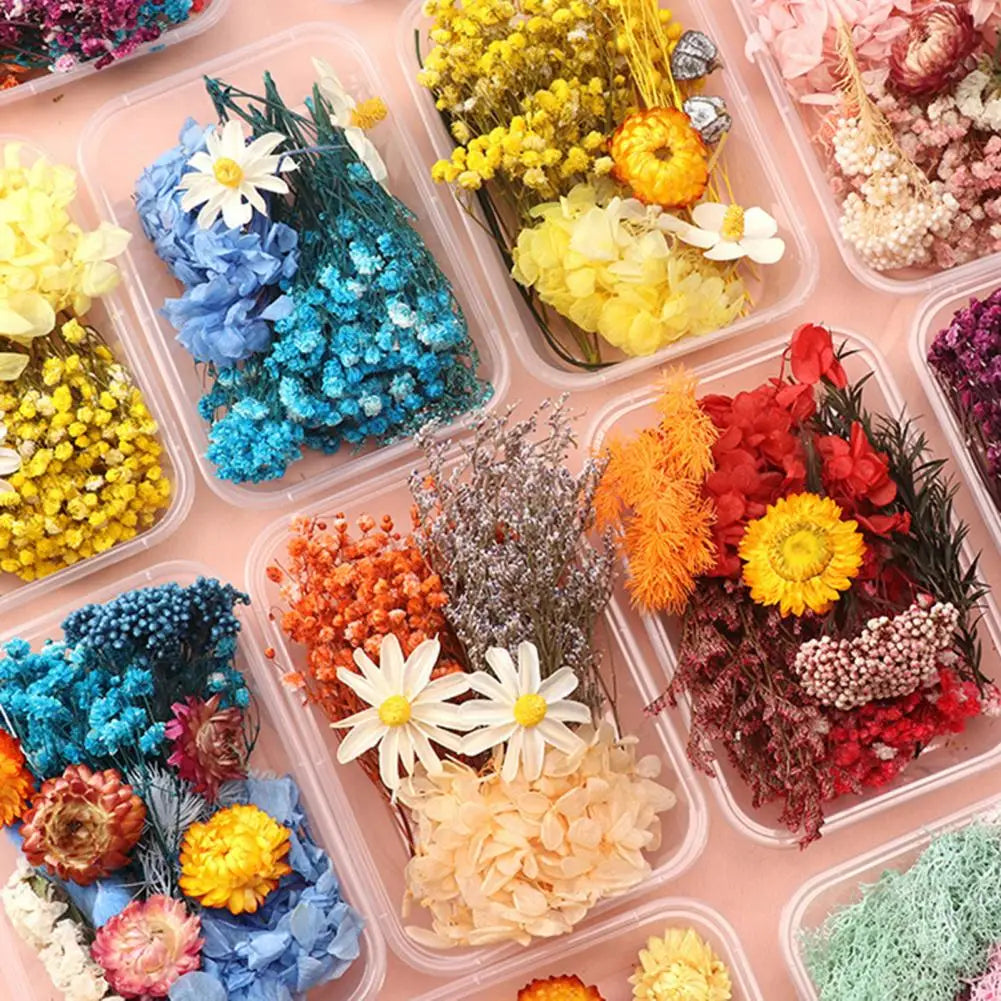 Dried Flowers Kit Real Natural Bulk DIY Handmade Everlasting Compressed Dried Flower Colorful Embossing Flowers Jewelry Supplies