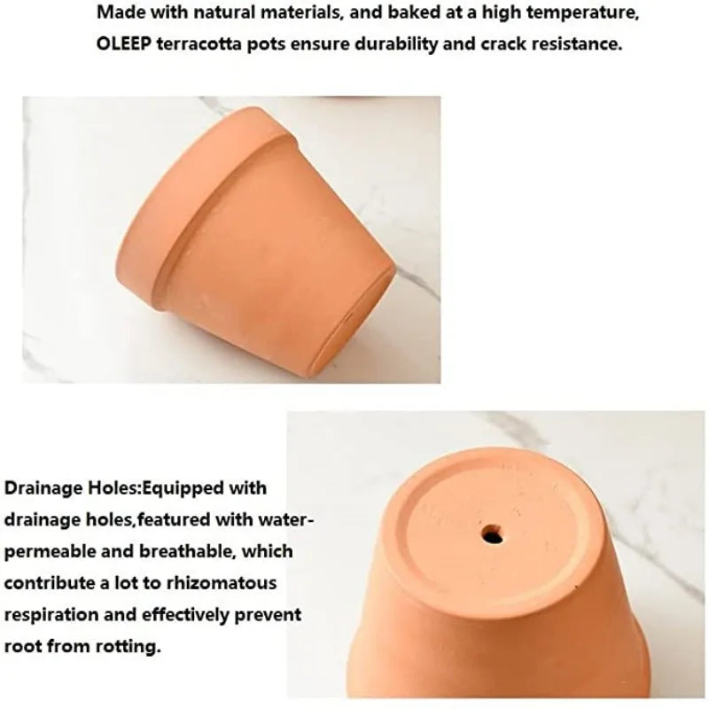 36Pcs Terra Cotta  2'' Clay Pottery Planter Cactus Flower Pots Succulent Pot with Drainage Hole- Great for Plants,Crafts