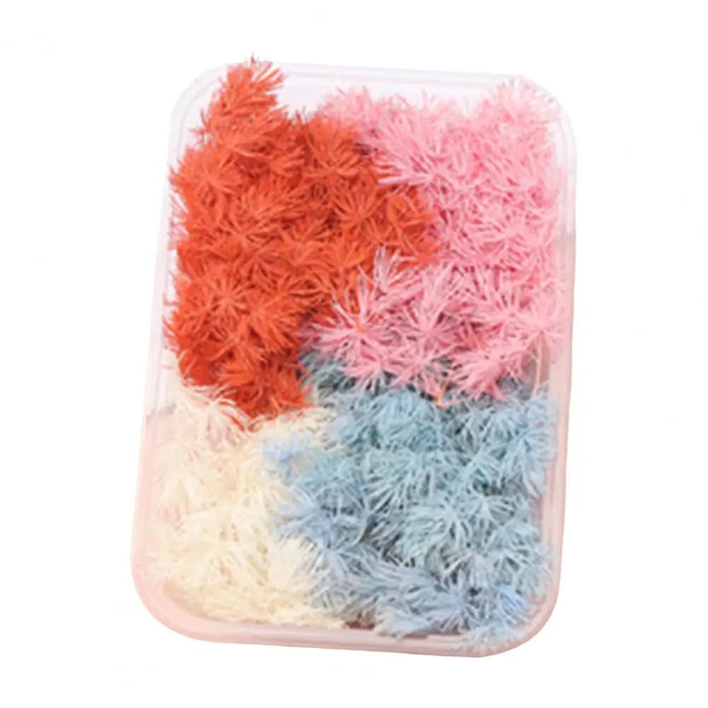 Dried Flowers Kit Real Natural Bulk DIY Handmade Everlasting Compressed Dried Flower Colorful Embossing Flowers Jewelry Supplies