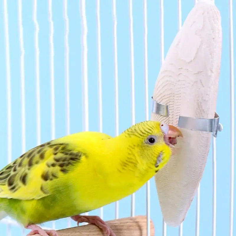 Cuttle Bone Natural Bird Cuttlebone Bird Sharp Beaks Cuttlefish Bone Cuddle Bone Toy Chew Toys For Reptiles Snails Turtles