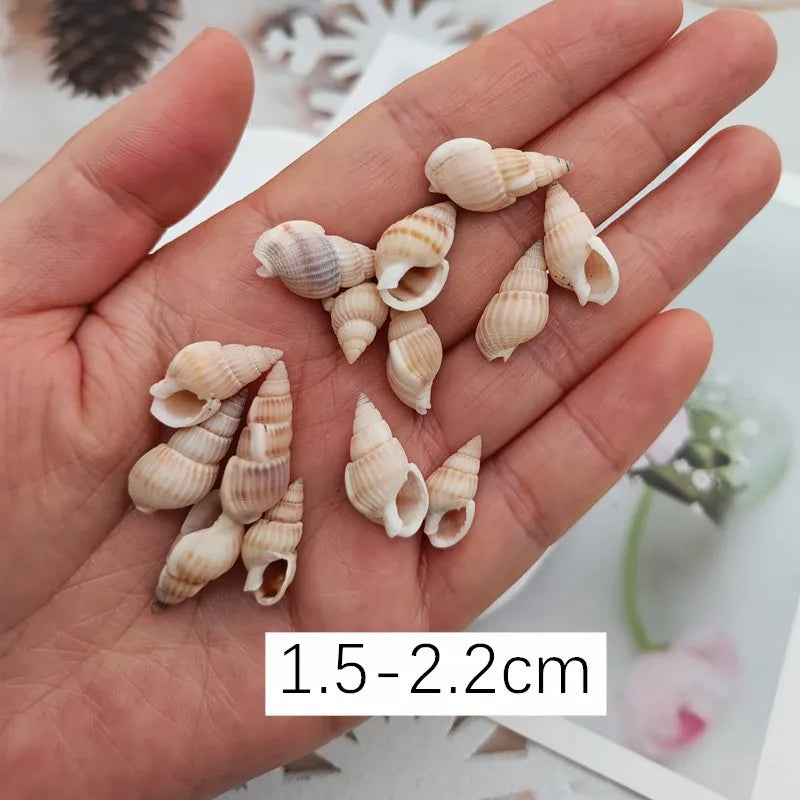 40piece 1-2cm Cute Starfish Natural Sea Shell Beads Mixed Jewelry Making Glass Vial Pendants Glass Globe Filler DIY Material
