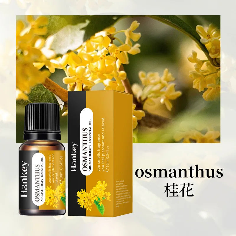 Multiple Aroma Aromatherapy Essential Oils Candles Making Diffuser Pure Nature Oil Water Soluble Humidifier Natural Flower Aroma