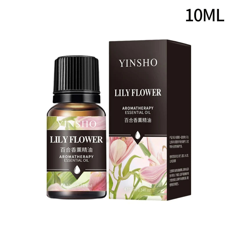 Fragrance Essential Oils Candles Burner Air Fresheners 10ML Natural Plant Aromatherapy Essential Oil for Humidifier Diffuser