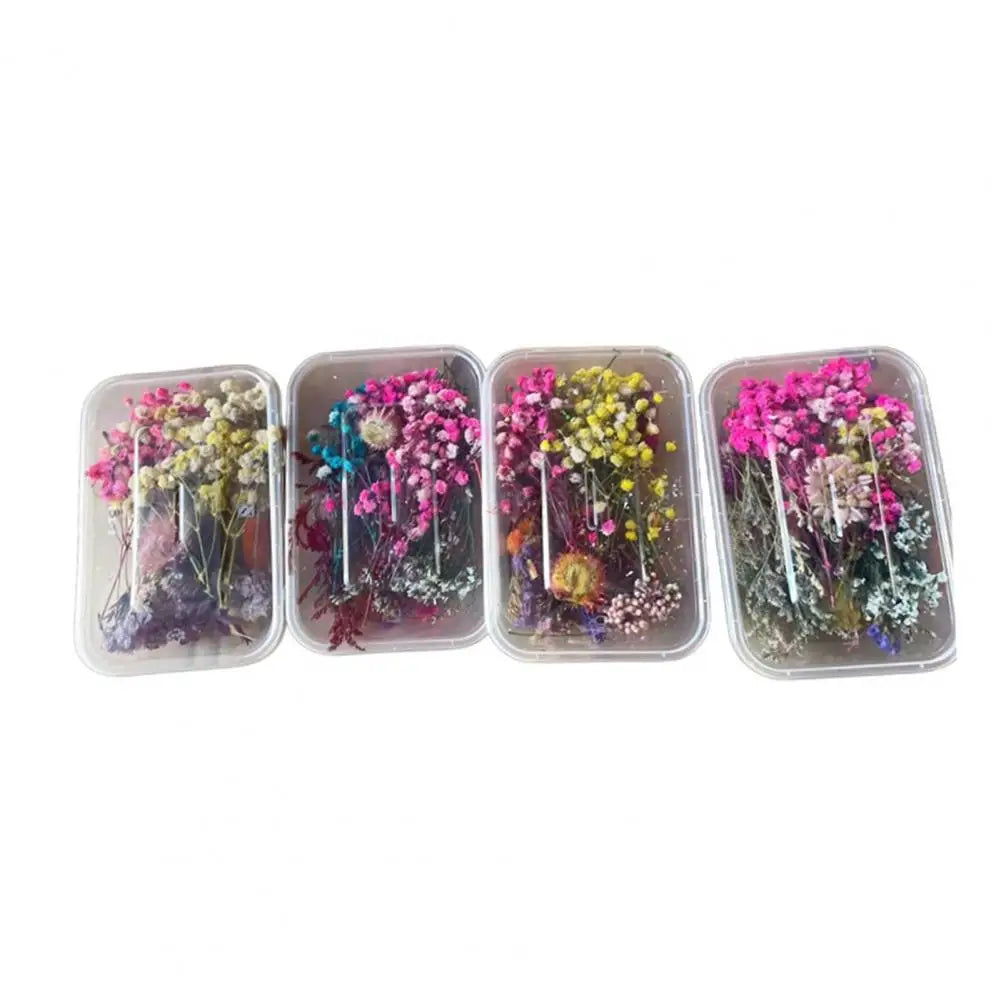 Dried Flowers Kit Real Natural Bulk DIY Handmade Everlasting Compressed Dried Flower Colorful Embossing Flowers Jewelry Supplies