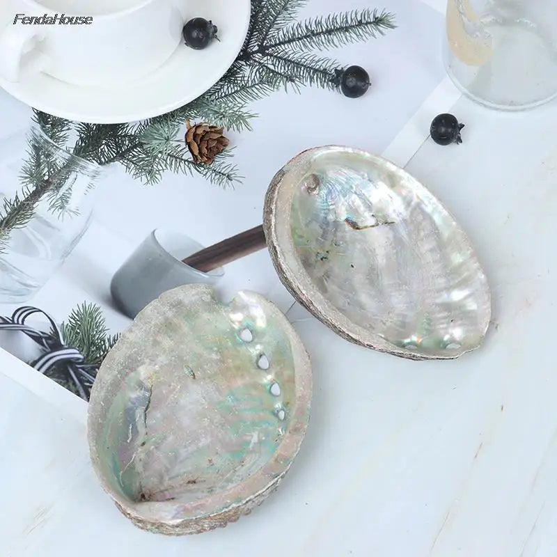 10-14Cm Natural Abalone Shell Large Sea Shells Nautical Decor Soap Landscape Fish Diy Aquarium Wedding Dish Tank Home Decor