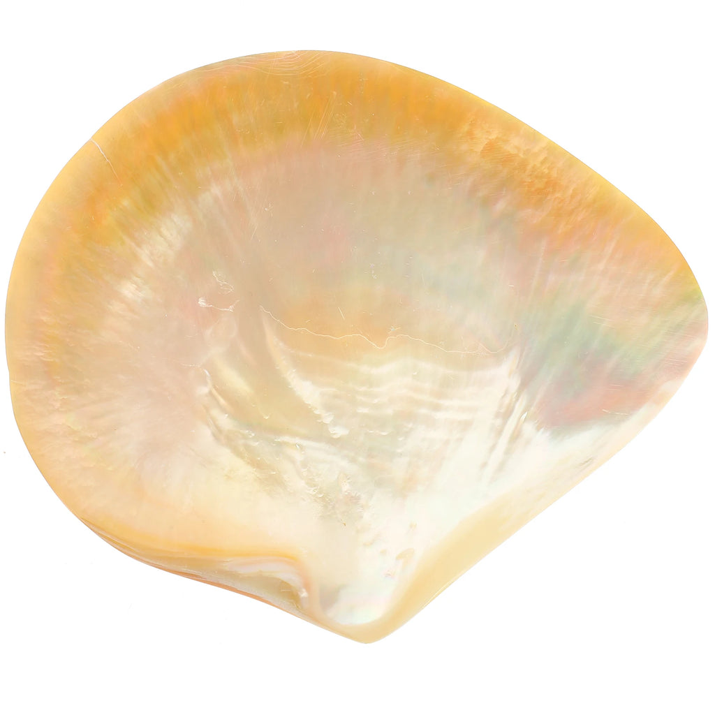 Shell Decorative Tray Dish Serving Trays Round Food Plate Dessert Cake Plates for Dinner Mother