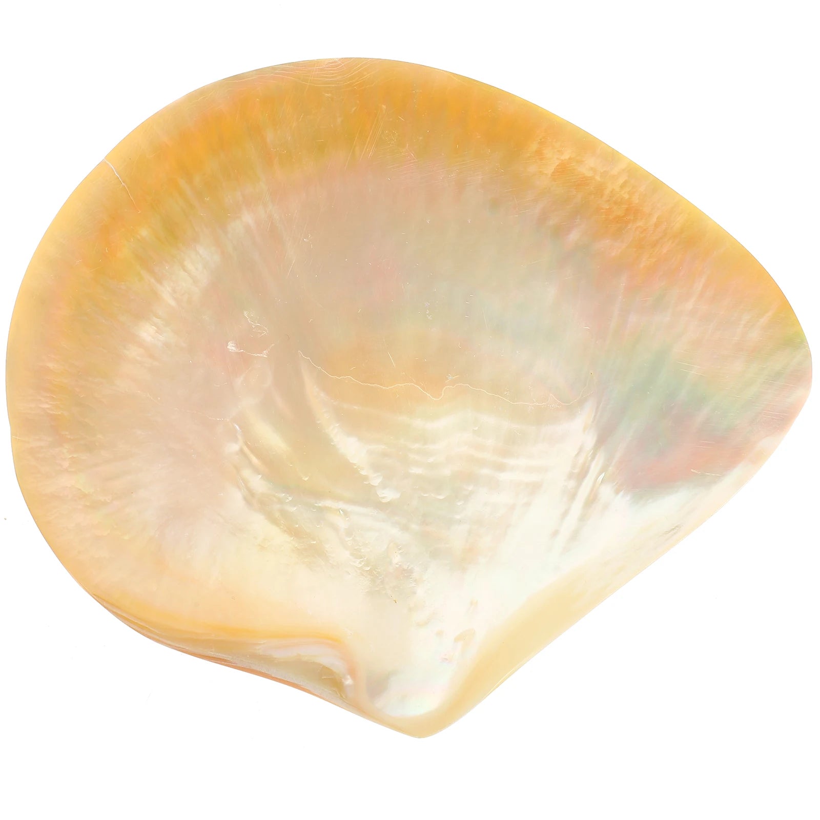 Shell Decorative Tray Dish Serving Trays Round Food Plate Dessert Cake Plates for Dinner Mother