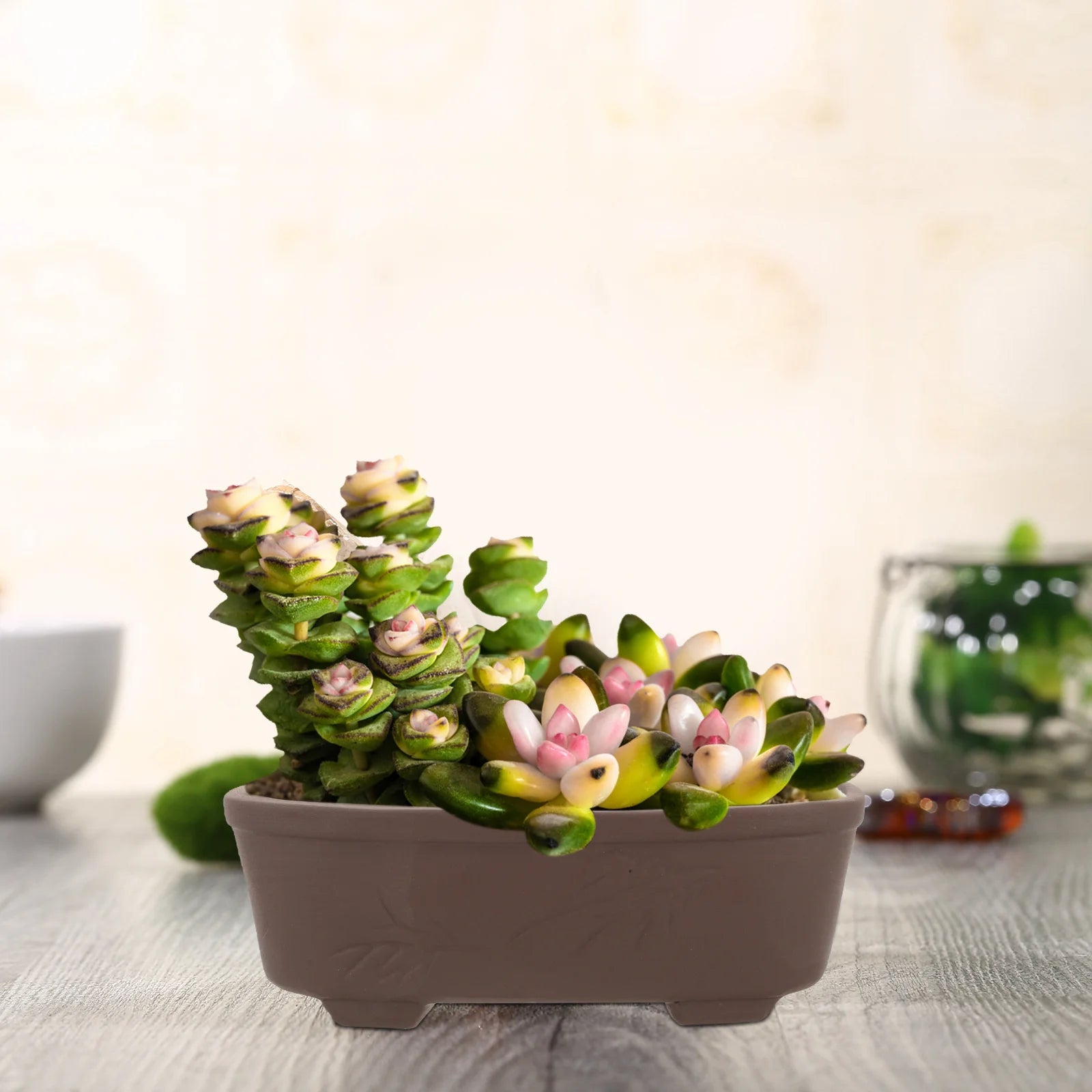 Wholesale Clay Planter Terracotta Flower Pot Small Succulents Bonsai Pots Planters For Garden Supplies Flower Pots Planter