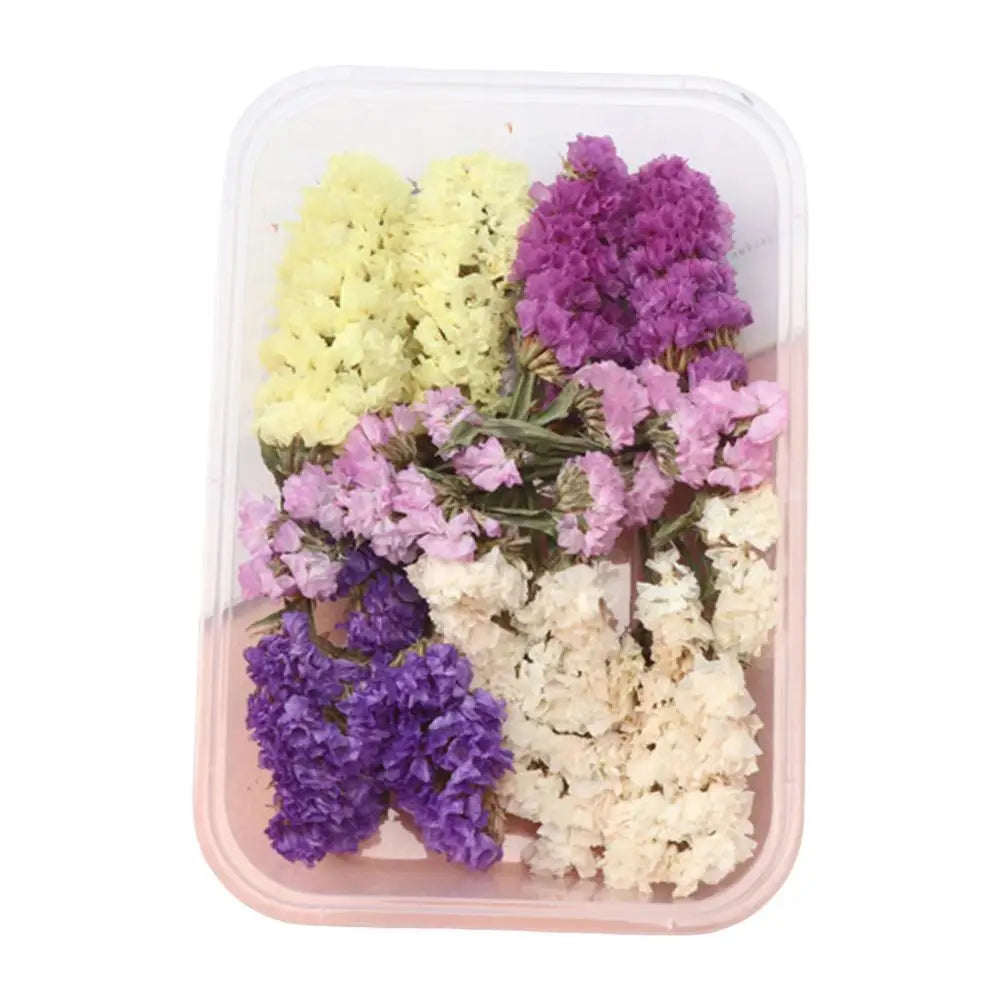 Dried Flowers Kit Real Natural Bulk DIY Handmade Everlasting Compressed Dried Flower Colorful Embossing Flowers Jewelry Supplies