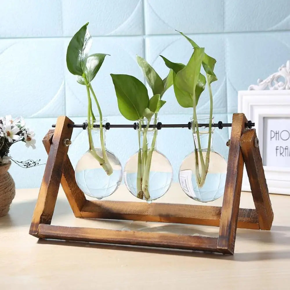 Vintage Hydroponic Plant Vases Glass Vase Vintage Bonsai Flower Pot Terrarium Tabletop Tray Wooden Frame Home Decoration