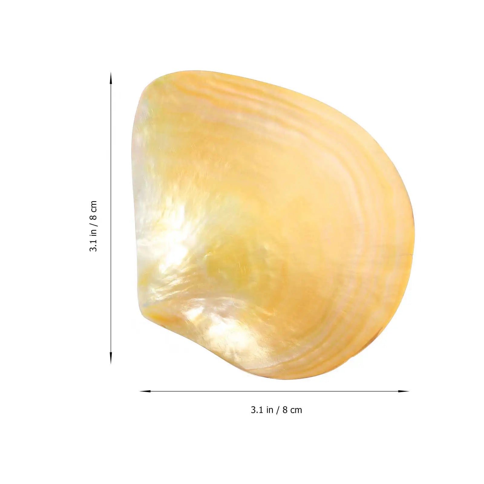 Shell Decorative Tray Dish Serving Trays Round Food Plate Dessert Cake Plates for Dinner Mother