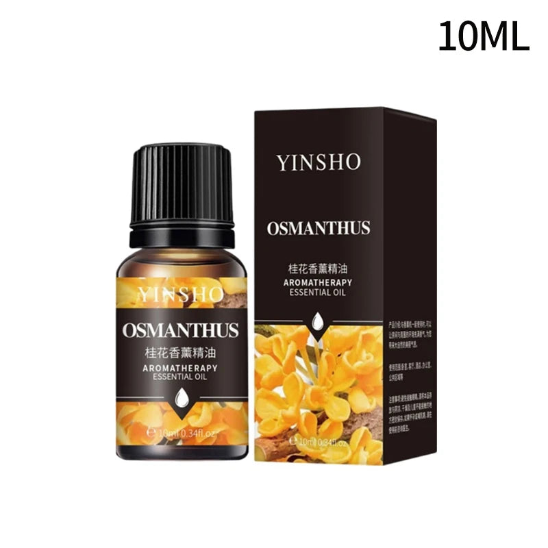 Fragrance Essential Oils Candles Burner Air Fresheners 10ML Natural Plant Aromatherapy Essential Oil for Humidifier Diffuser