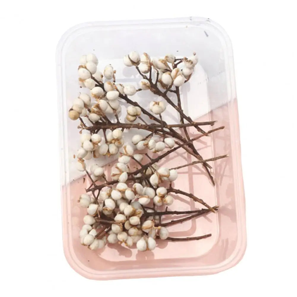 Dried Flowers Kit Real Natural Bulk DIY Handmade Everlasting Compressed Dried Flower Colorful Embossing Flowers Jewelry Supplies