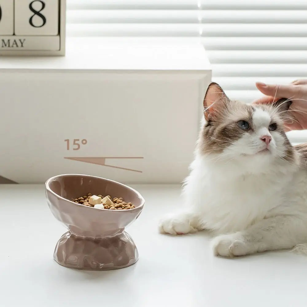 Ceramic Cat Bowl Creative Slanted/Flat Mouth Dog Food Feeding Basin Non-slip Multi-use Pet High Foot Bowl Water Container