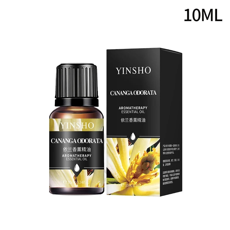 Fragrance Essential Oils Candles Burner Air Fresheners 10ML Natural Plant Aromatherapy Essential Oil for Humidifier Diffuser