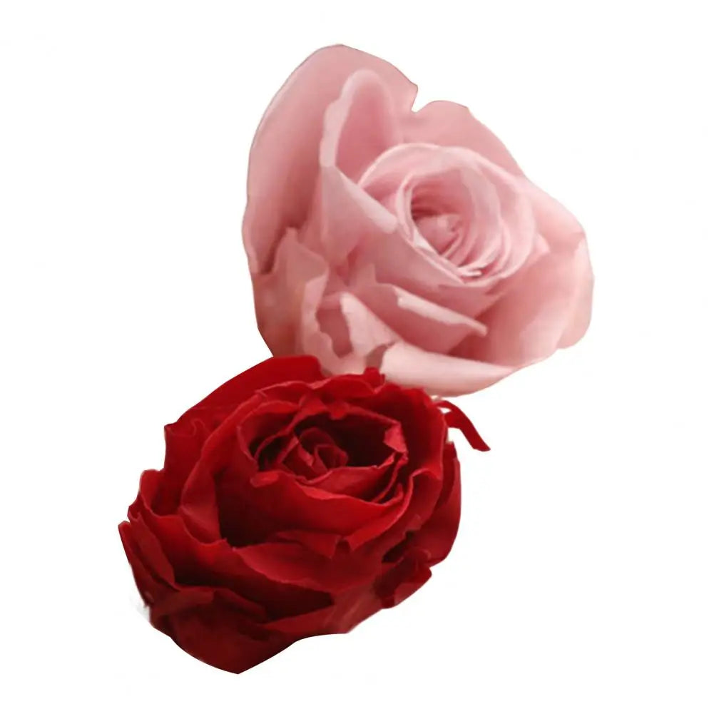 Dried Flowers Kit Real Natural Bulk DIY Handmade Everlasting Compressed Dried Flower Colorful Embossing Flowers Jewelry Supplies