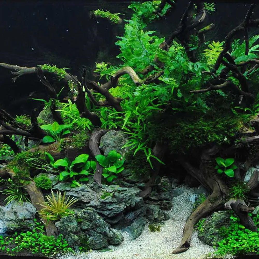 1 Pc Wood Natural Trunk Driftwood Tree Aquarium Fish Tank Plant Stump Aquarium Fish Tank Ornament Landscaping Decoration