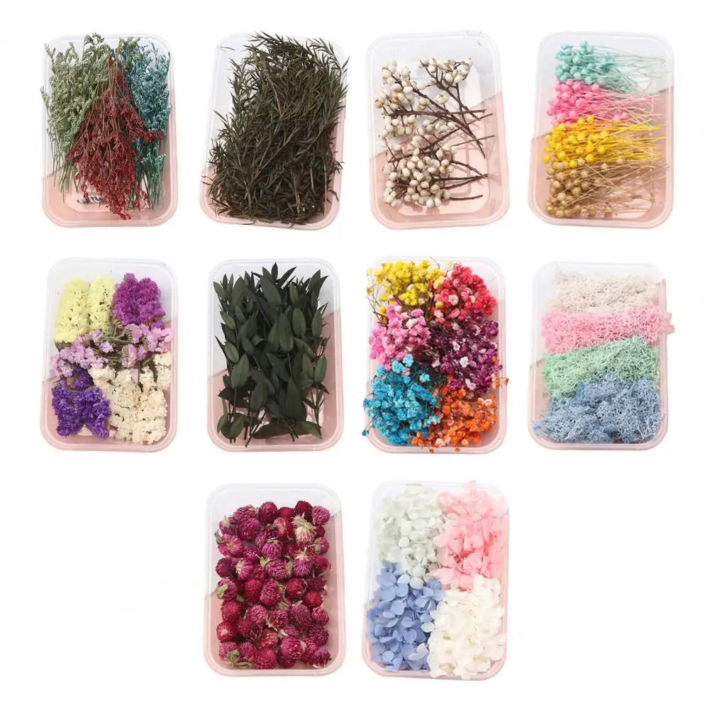 Dried Flowers Kit Real Natural Bulk DIY Handmade Everlasting Compressed Dried Flower Colorful Embossing Flowers Jewelry Supplies