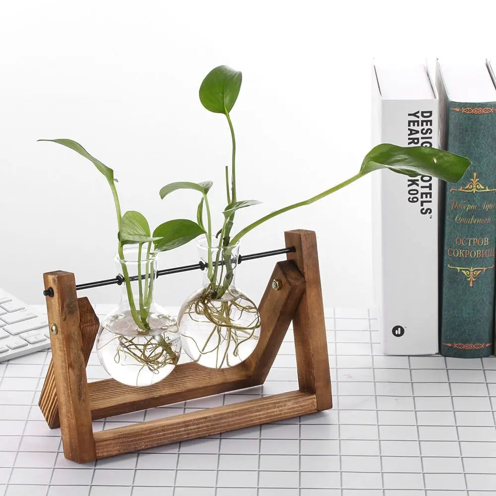 Vintage Hydroponic Plant Vases Glass Vase Vintage Bonsai Flower Pot Terrarium Tabletop Tray Wooden Frame Home Decoration