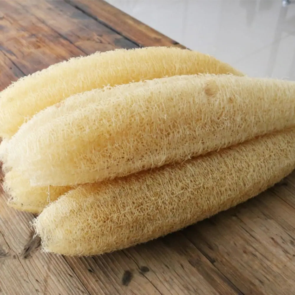 Natural Loofah Luffa Sponge Long Non-stick Dishwashing Artifact Ecological Planting Good Absorbency Body Shower Sponge