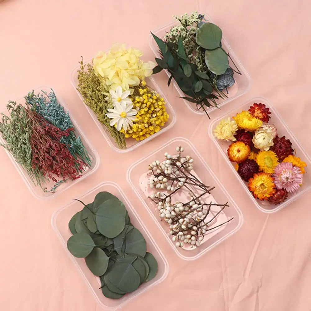 Dried Flowers Kit Real Natural Bulk DIY Handmade Everlasting Compressed Dried Flower Colorful Embossing Flowers Jewelry Supplies