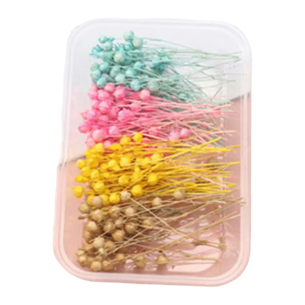 Dried Flowers Kit Real Natural Bulk DIY Handmade Everlasting Compressed Dried Flower Colorful Embossing Flowers Jewelry Supplies