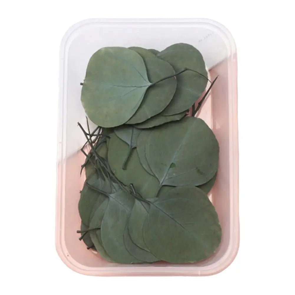 Dried Flowers Kit Real Natural Bulk DIY Handmade Everlasting Compressed Dried Flower Colorful Embossing Flowers Jewelry Supplies