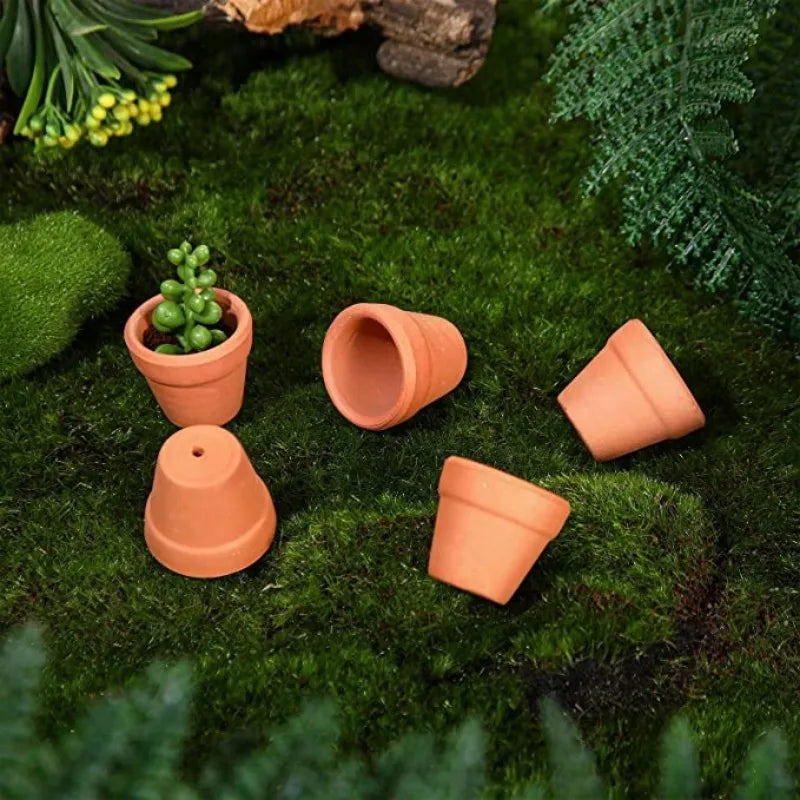 50 Pcs Tiny Terracotta Pots - 1.3 inch Small Mini Clay Pots with Drainage Holes Flower Nursery Terra Cotta Pots for in/outdoor