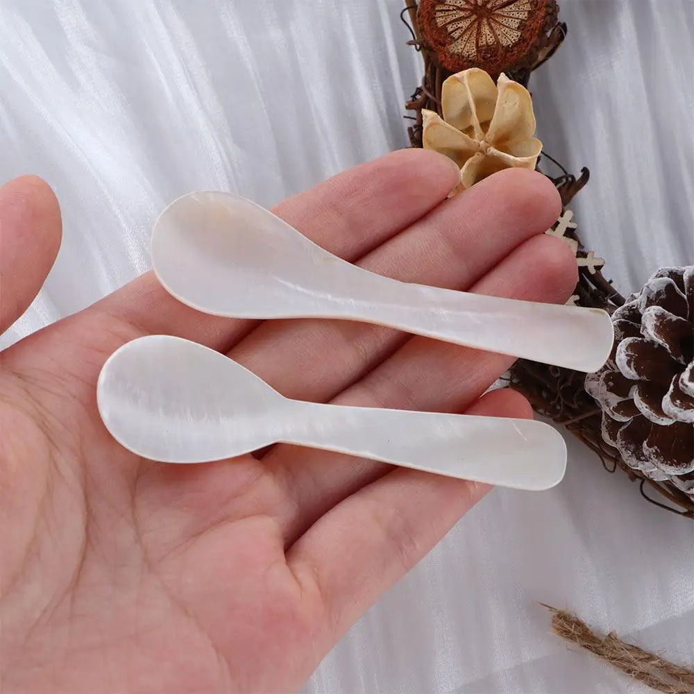 Natural Conch Shell Ice Cream Coffee Spoon Caviar Spoon Seashells Stirring Spoons Teaspoon Kitchen Tool