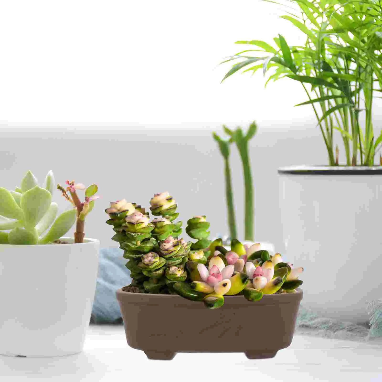 Wholesale Clay Planter Terracotta Flower Pot Small Succulents Bonsai Pots Planters For Garden Supplies Flower Pots Planter