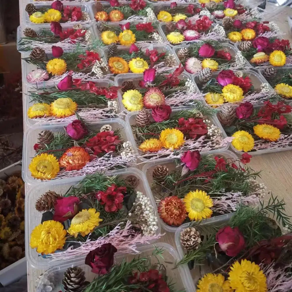 Dried Flowers Kit Real Natural Bulk DIY Handmade Everlasting Compressed Dried Flower Colorful Embossing Flowers Jewelry Supplies